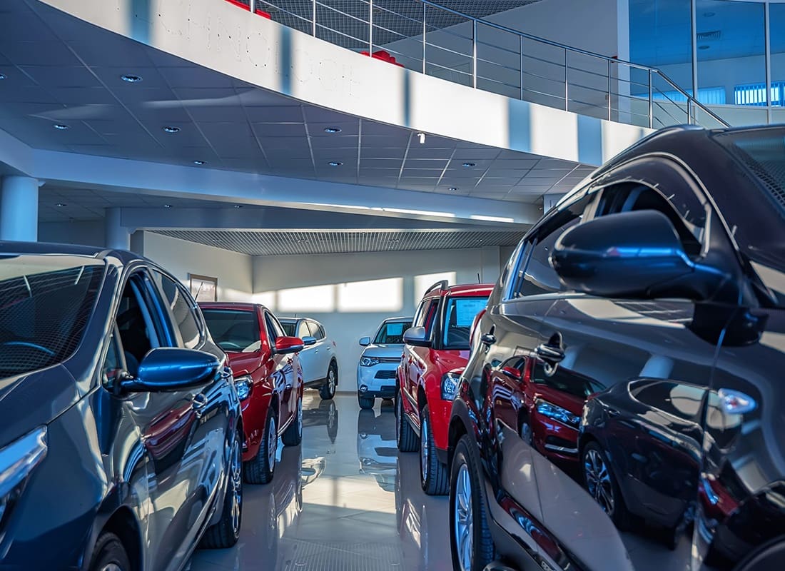 Insurance by Industry - Auto Dealership Show Room Full of New Cars
